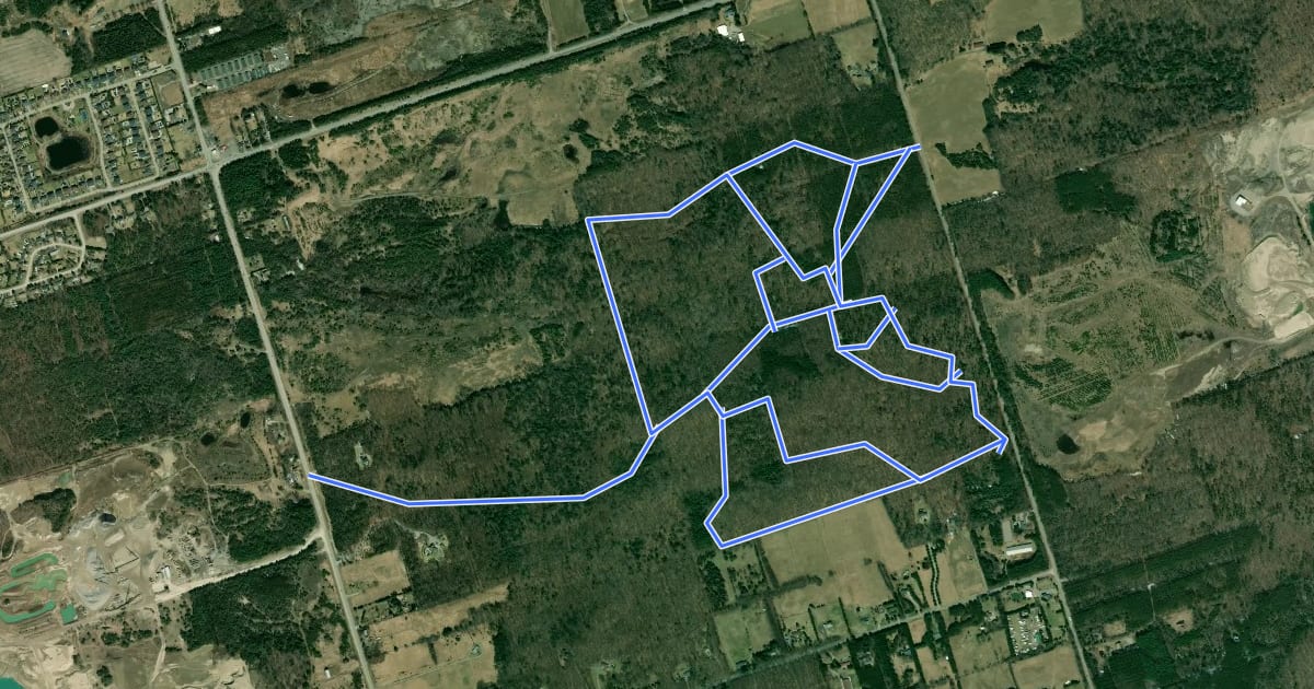 Маршрут North Walker Woods на спутниковом снимке
