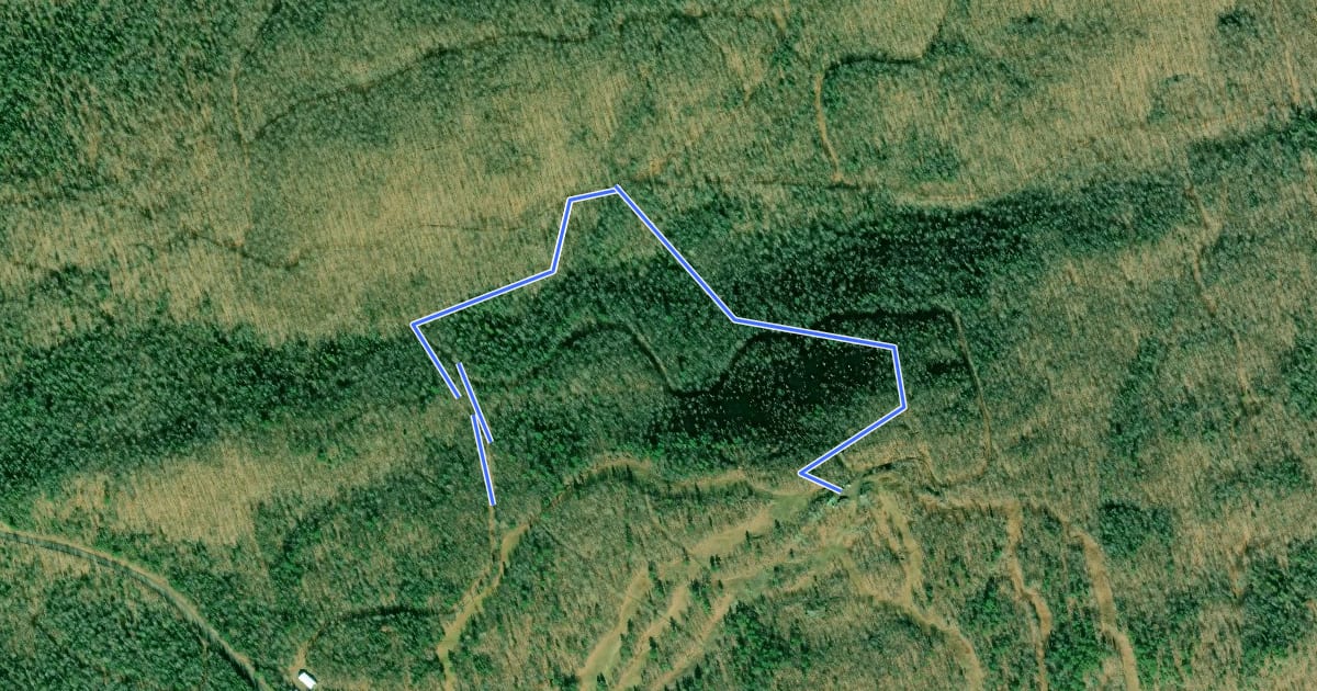 Маршрут Northwoods Trail на спутниковом снимке