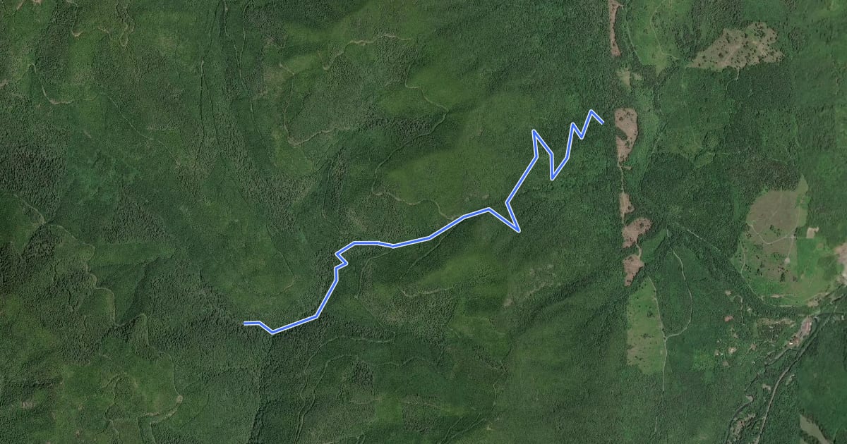 Маршрут Notch Pass Trail #831 на спутниковом снимке
