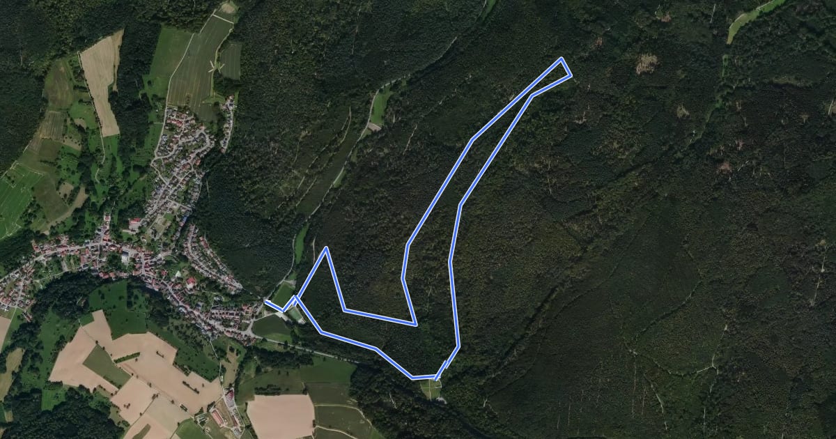Маршрут NP Sportanlage, Waldwimmersbach 4: Rehhecken-Weg на спутниковом снимке
