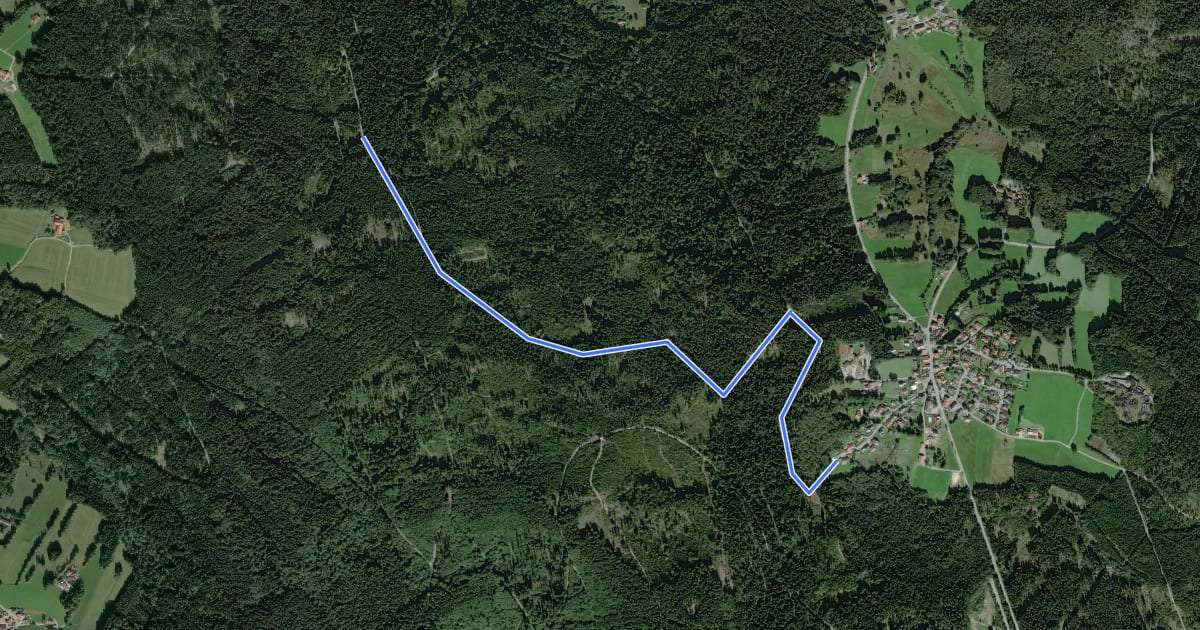 Маршрут Nr.7 Gotteszell /Zachenberg на спутниковом снимке