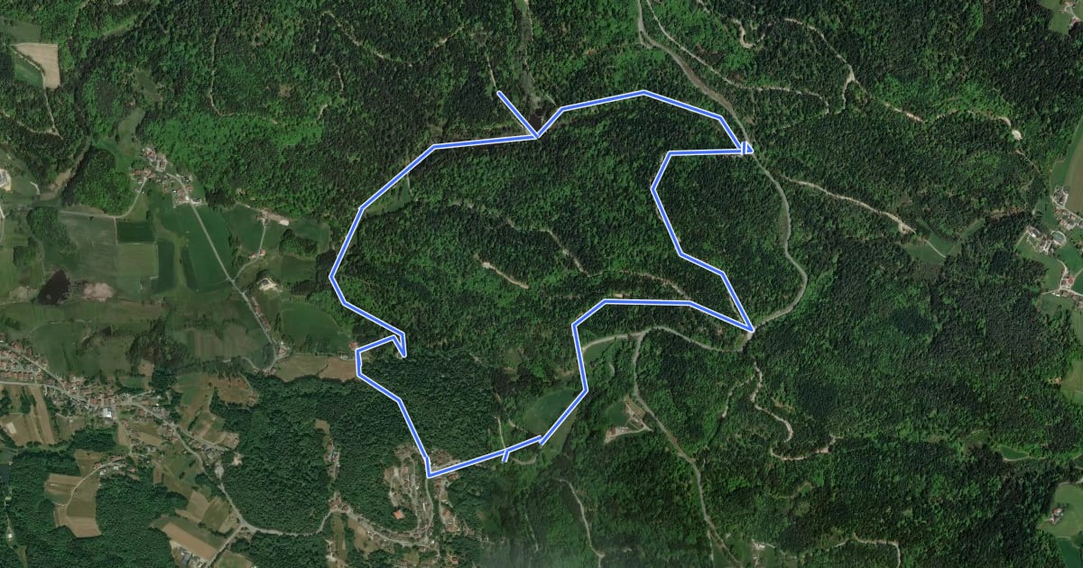 Маршрут Nr. 85: Ödhäuslwanderweg на спутниковом снимке