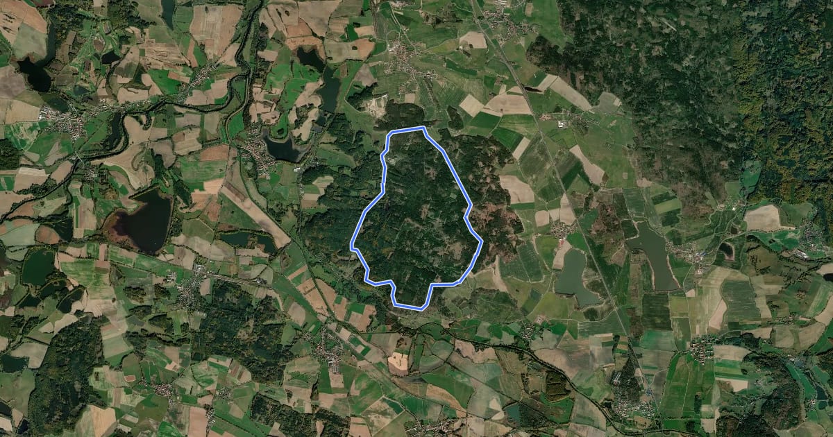 Маршрут NS Školní polesí - Hůrka на спутниковом снимке