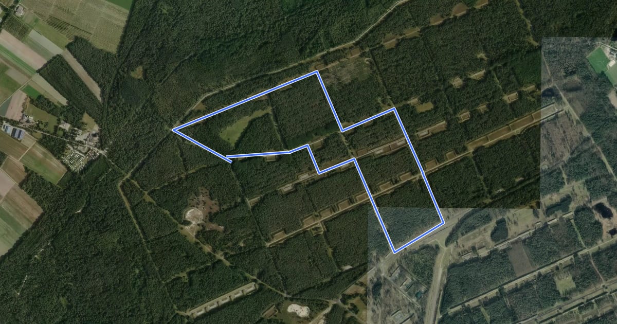 Маршрут NSG Brachter Wald Wanderweg Blau на спутниковом снимке