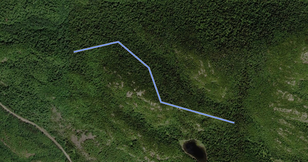 Маршрут Nubble Trail на спутниковом снимке