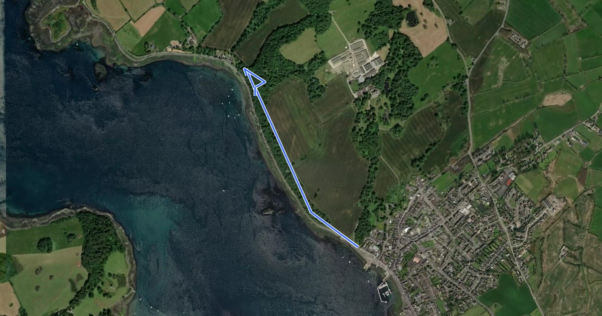 Маршрут Nugent's Wood walk, Strangford Lough на спутниковом снимке