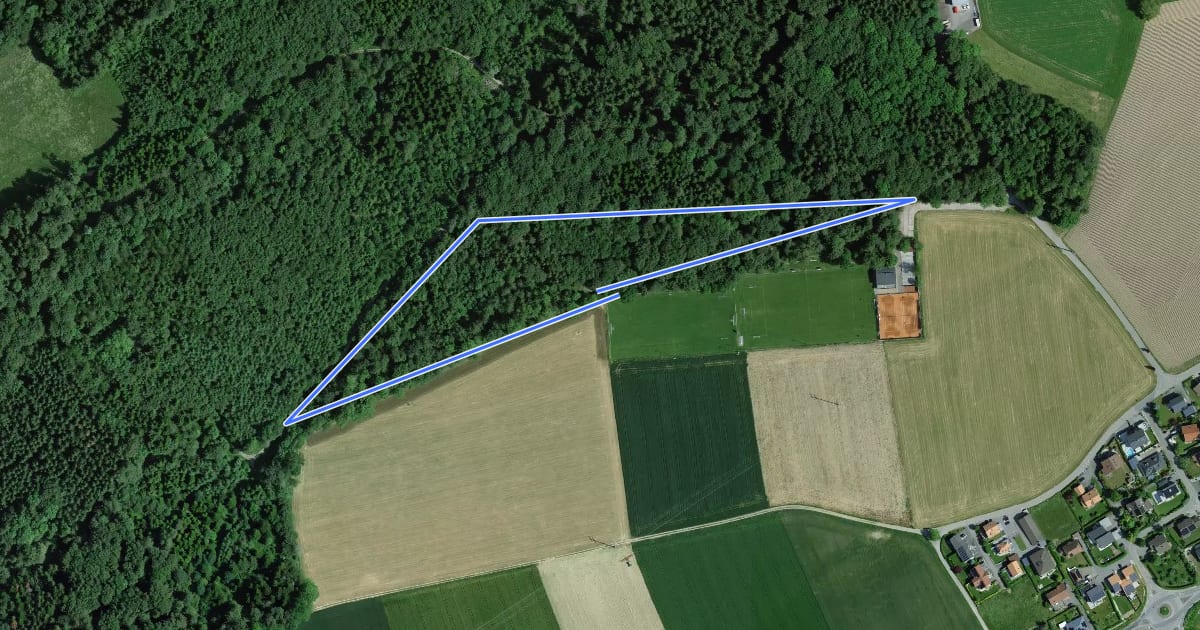 Маршрут Nyruz - Sentier botanique на спутниковом снимке