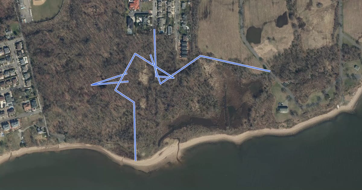 Маршрут NYS DEC Trail на спутниковом снимке