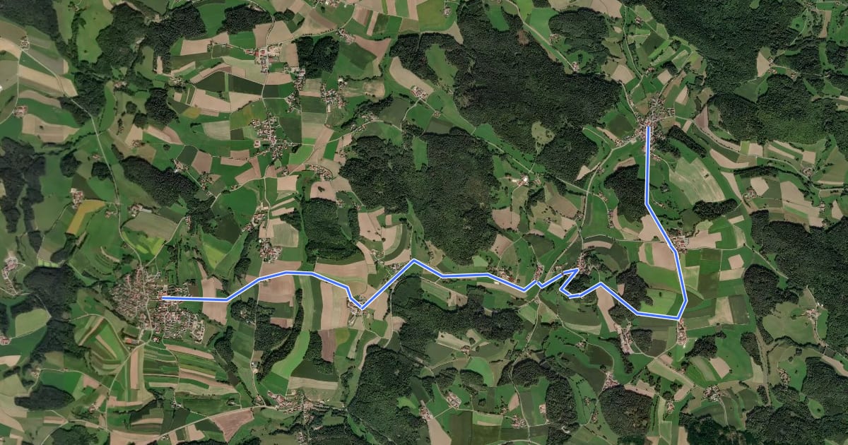 Маршрут O 19 Altenthann - Süssenbach (Rotes Dreieck) на спутниковом снимке