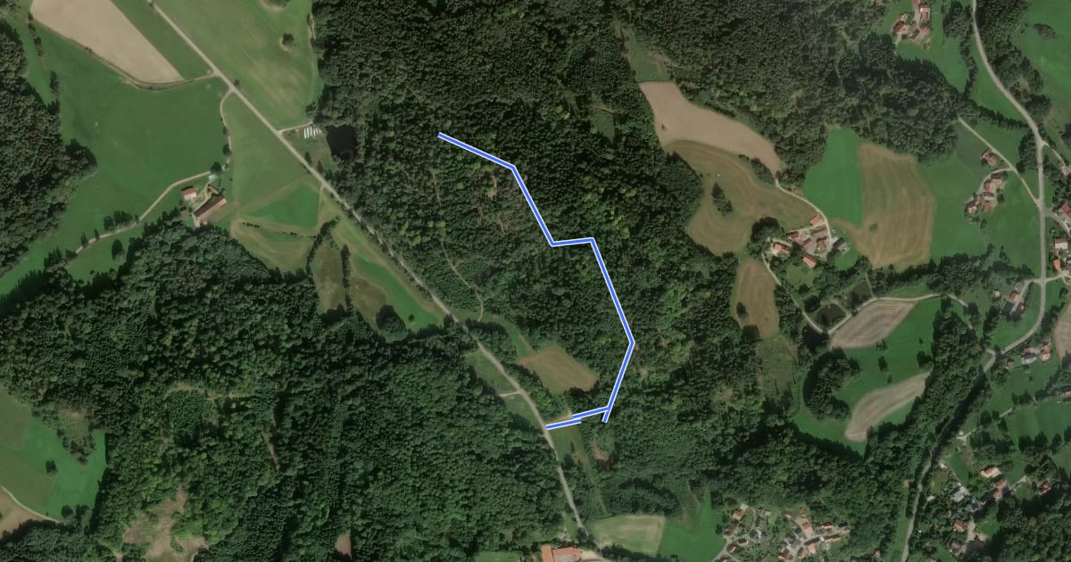 Маршрут O 35 Über den Lauberberg (Rotes Rechteck) на спутниковом снимке