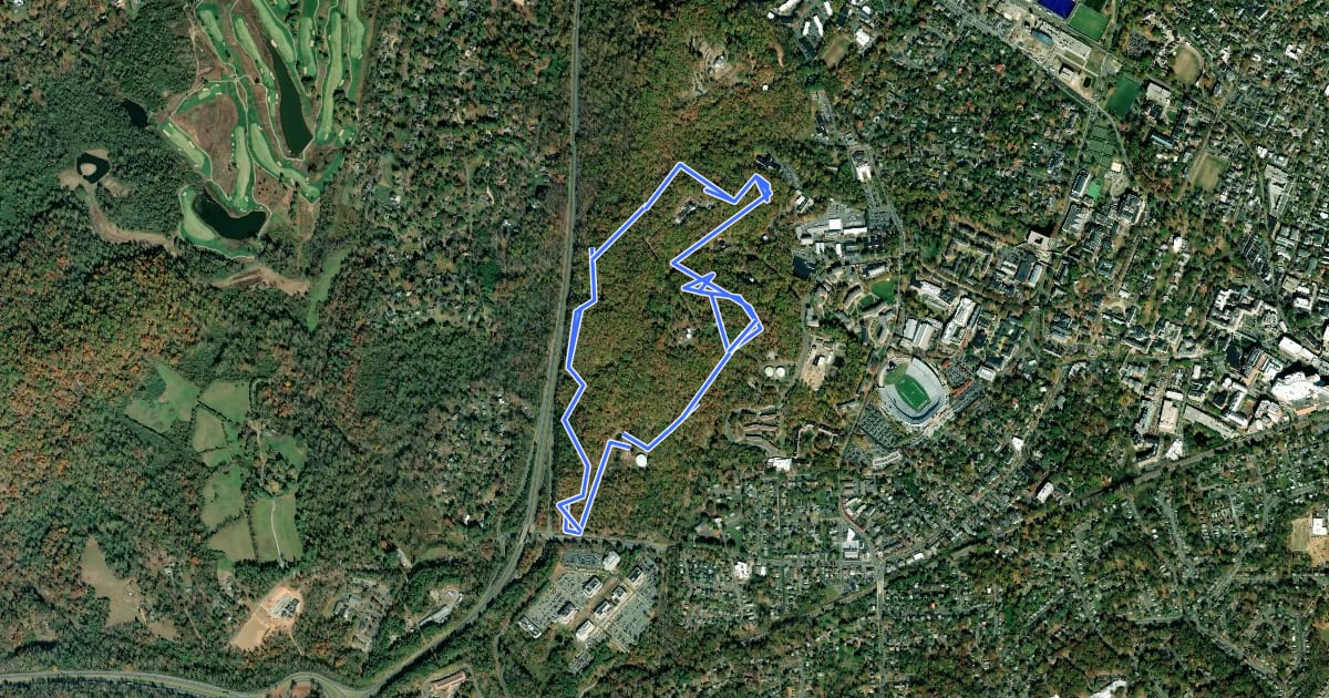 Маршрут O-Hill Blue Loop на спутниковом снимке