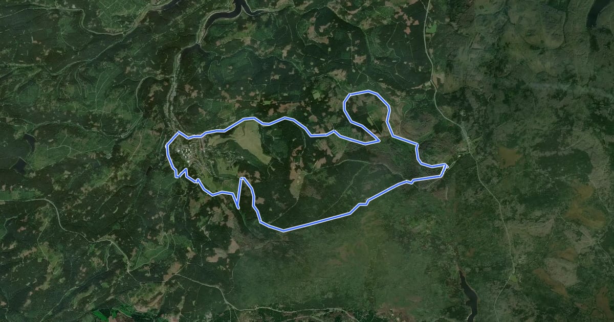 Маршрут O8 (Torfhaus-Tour II) на спутниковом снимке
