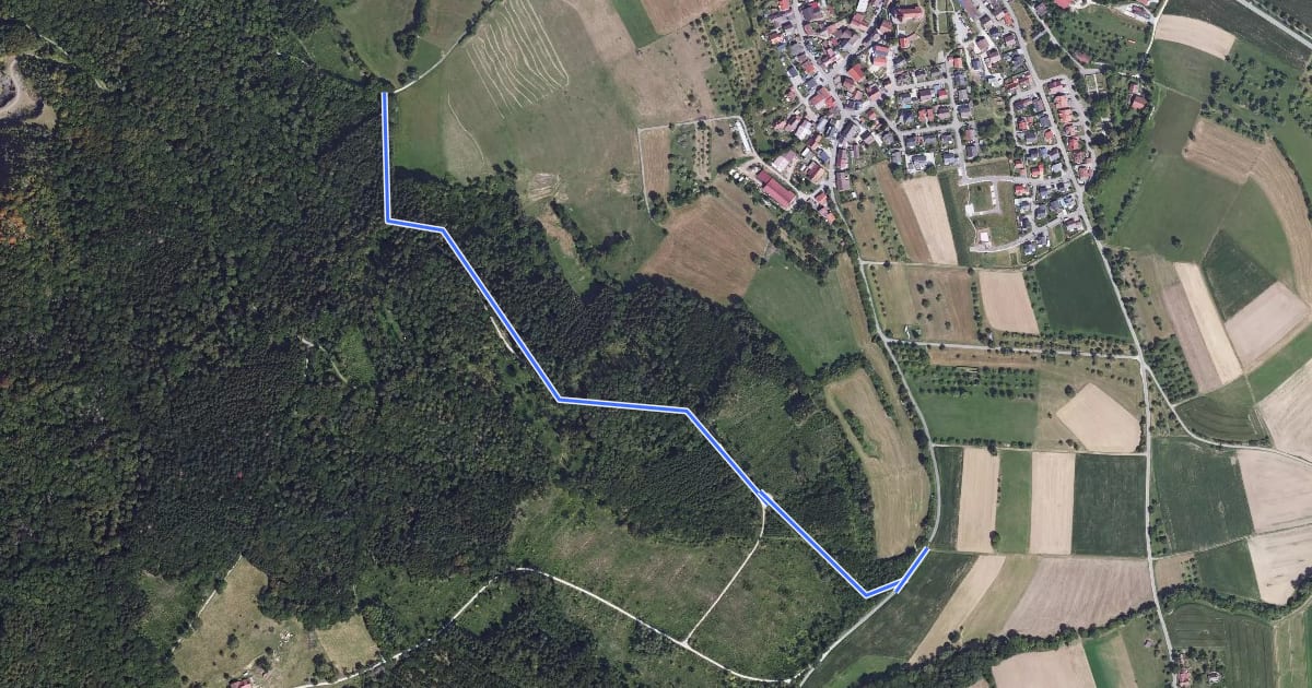Маршрут Ob dem Dorf - Roggensteig на спутниковом снимке