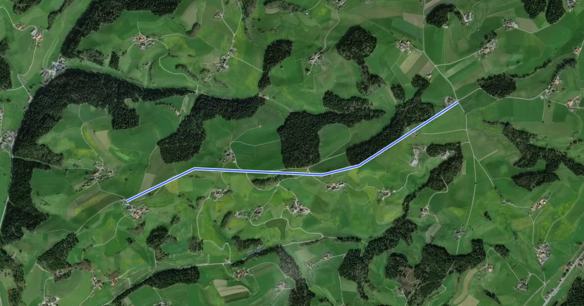 Маршрут Ober Scheidegg - Büelfeld на спутниковом снимке