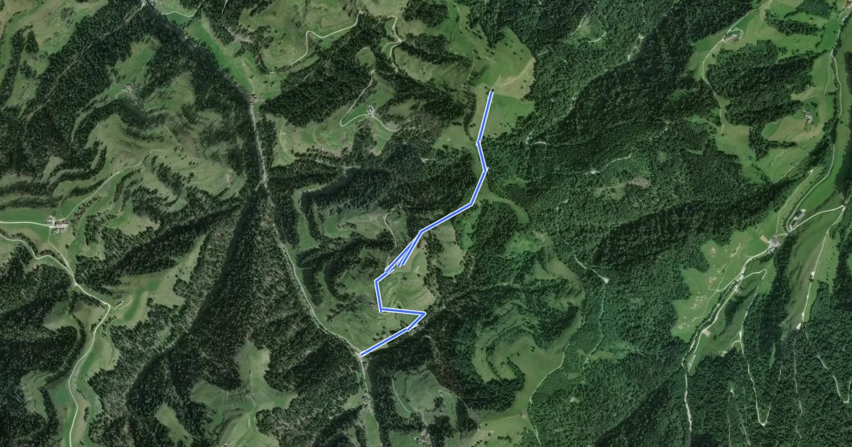 Маршрут Ober Scheidegg - Riedbad на спутниковом снимке