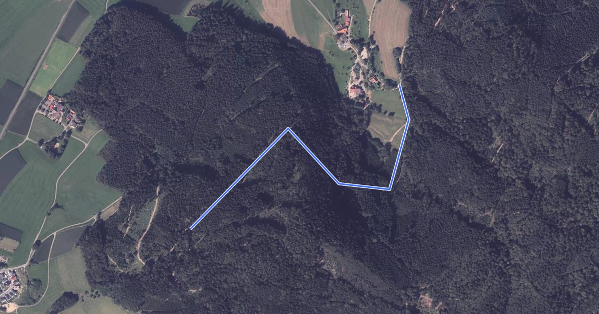 Маршрут Oberer Dürrenberg - Vorderer Hörnlewald на спутниковом снимке