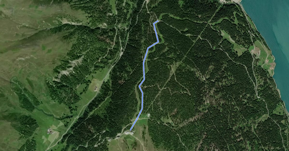 Маршрут Oberer Schöneben Trail на спутниковом снимке