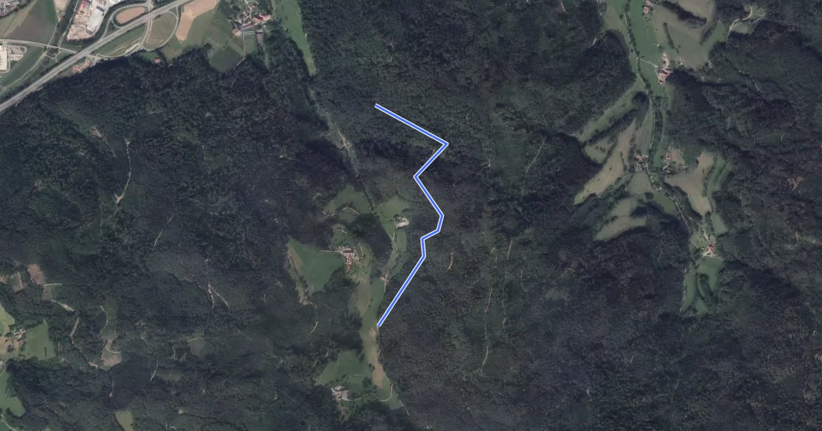 Маршрут Oberer Wegelbachweg - Am Fohrenbühl на спутниковом снимке