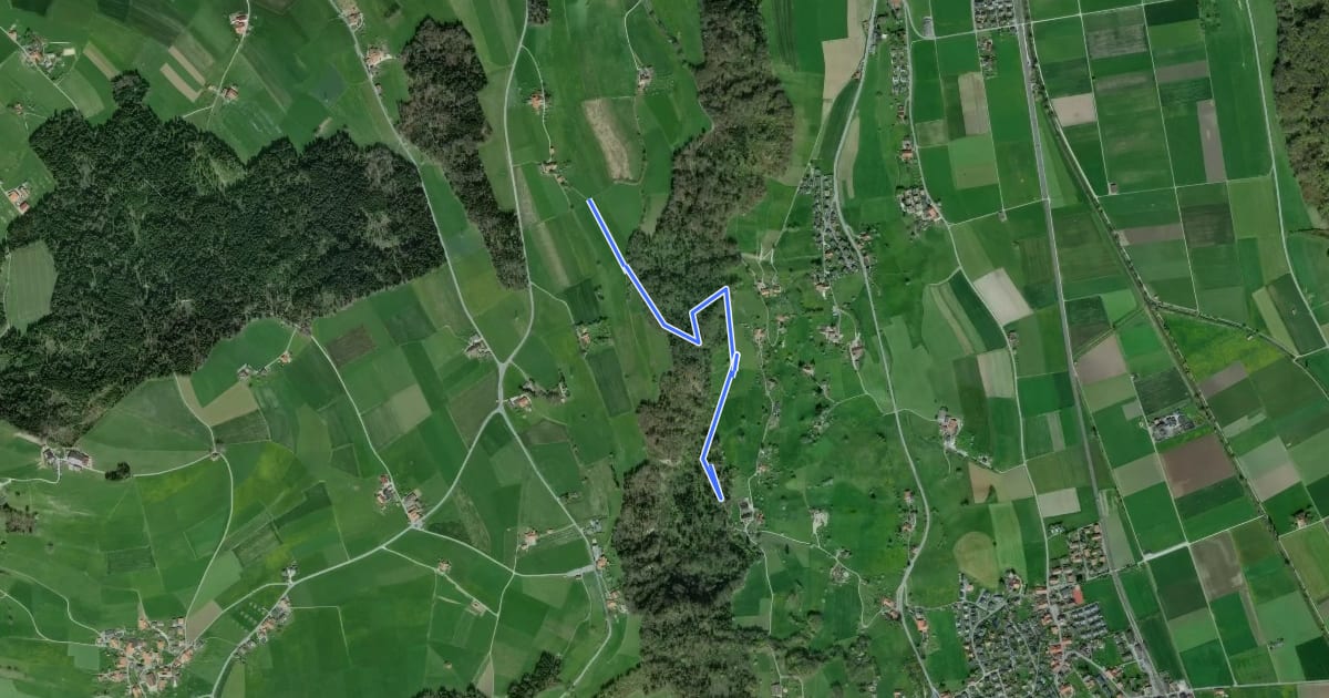Маршрут Oberfeld - Gutenbrünnen на спутниковом снимке