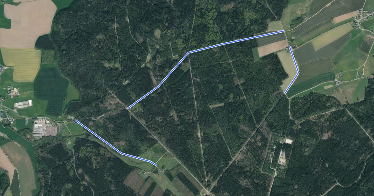 Маршрут Oberhartmannsdorfer Rundwanderweg на спутниковом снимке
