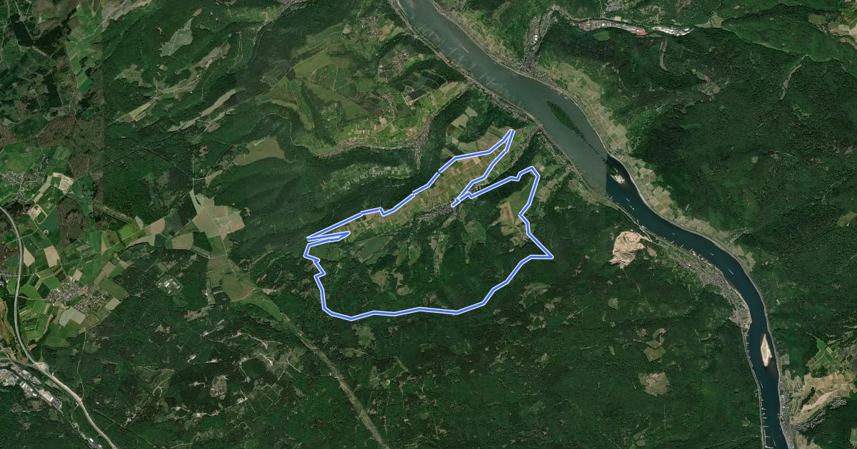 Маршрут Oberheimbach Panoramaweg на спутниковом снимке