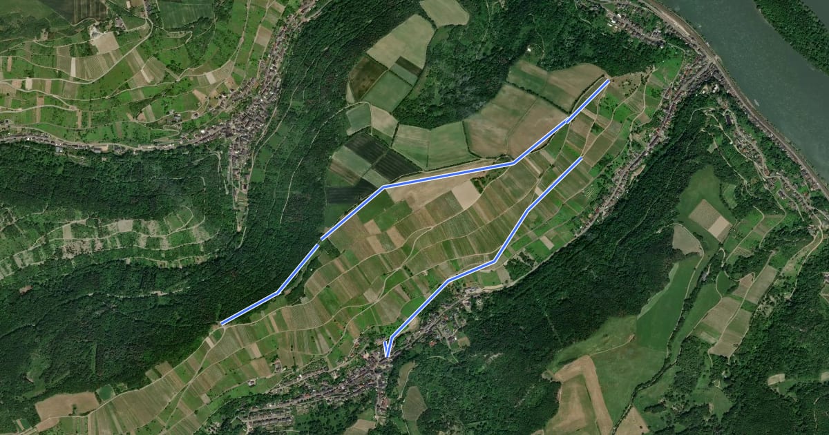 Маршрут Oberheimbach Route 1 на спутниковом снимке