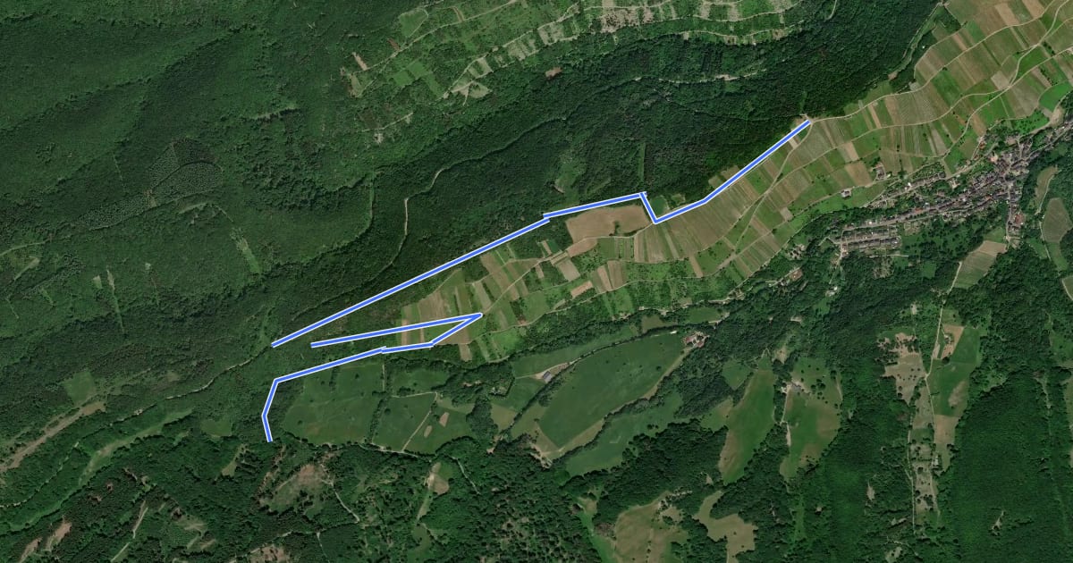 Маршрут Oberheimbach Route 3 на спутниковом снимке