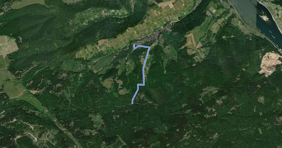 Маршрут Oberheimbach Route 6 на спутниковом снимке