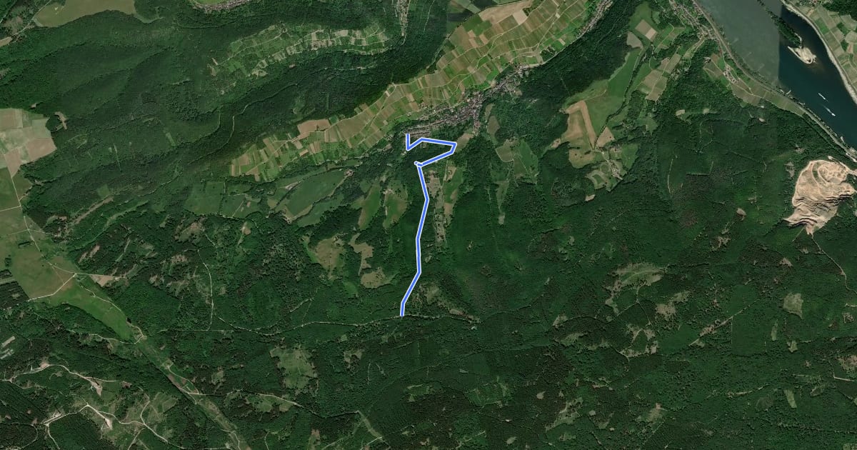 Маршрут Oberheimbach Route 7 на спутниковом снимке