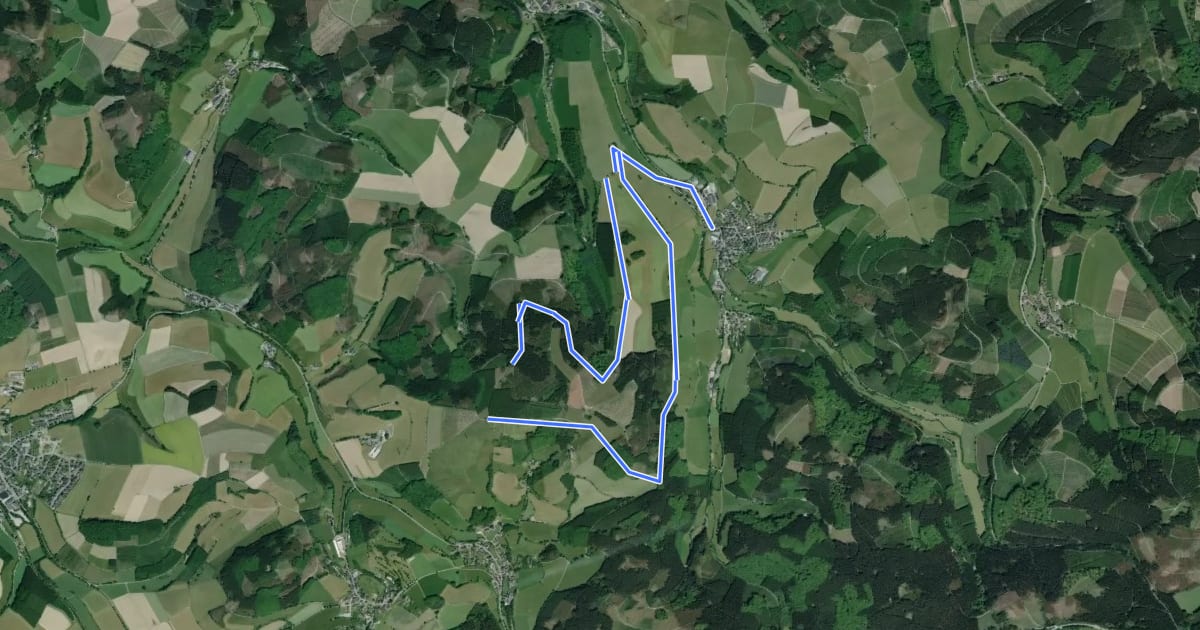 Маршрут Oberhenneborn Rundweg OH2 на спутниковом снимке