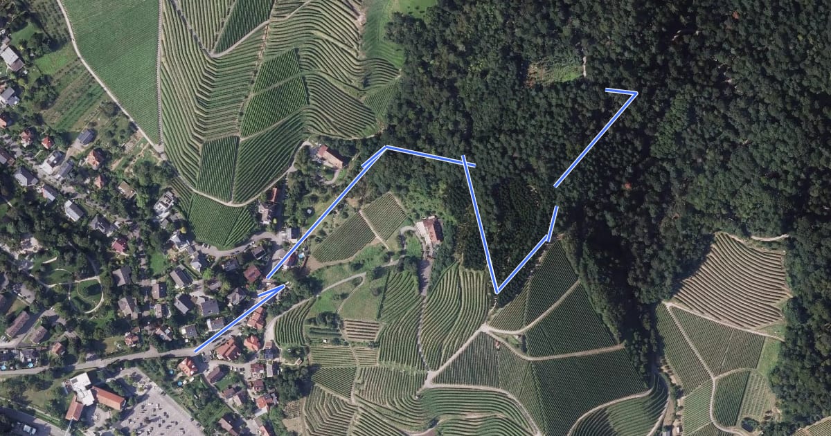 Маршрут Oberkirch Haus Pfaff - Schwalbenstein Brunnen на спутниковом снимке