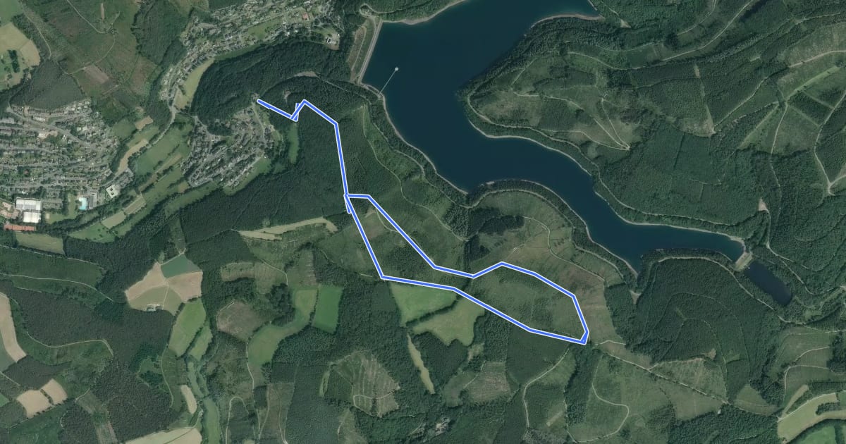 Маршрут Obernautalsperre Rundweg A1 на спутниковом снимке