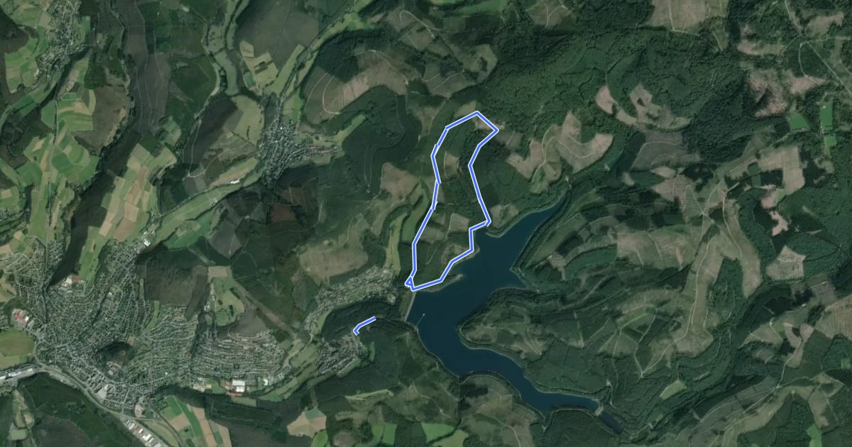 Маршрут Obernautalsperre Rundweg A2 на спутниковом снимке