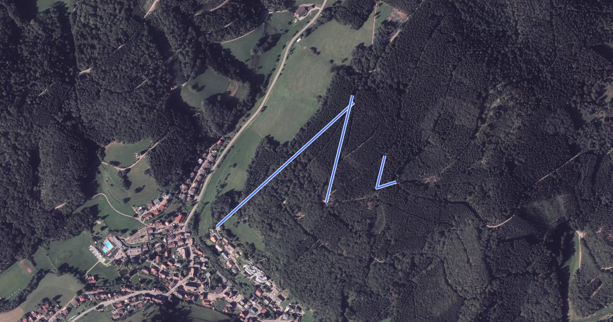 Маршрут Oberprechtal Am Pfauen - Pfauen на спутниковом снимке
