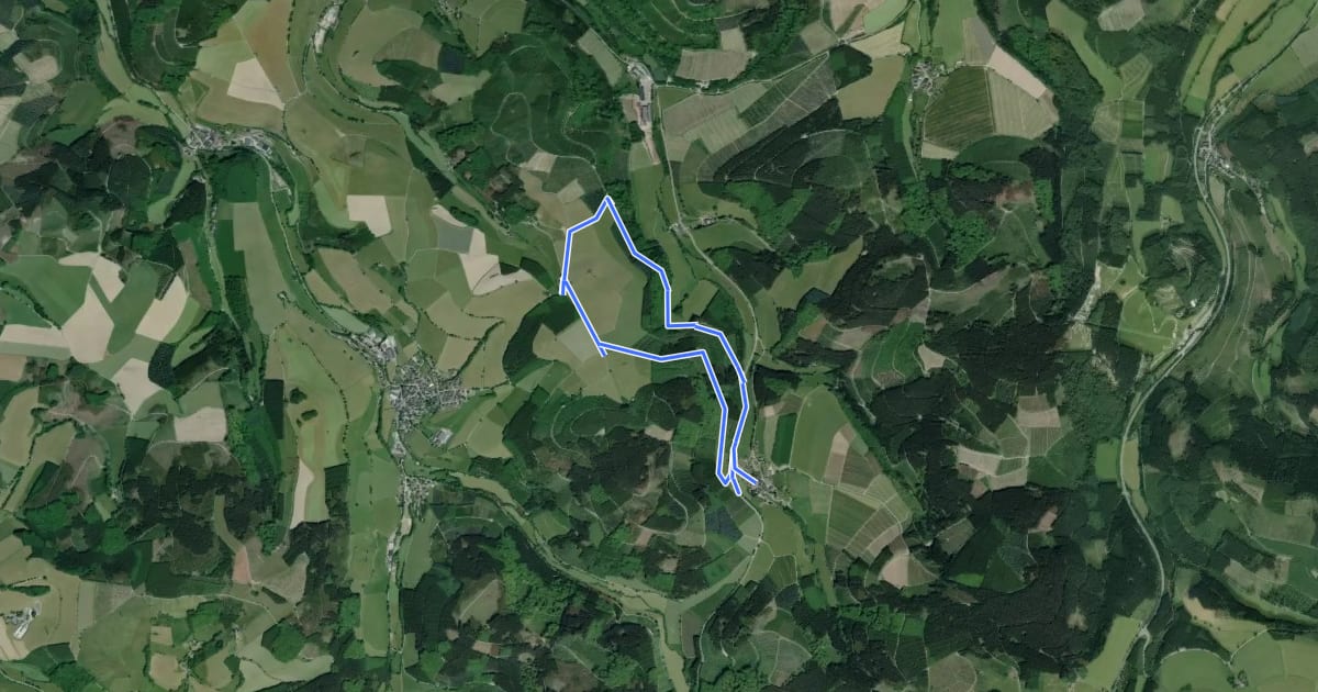 Маршрут Oberrarbach Rundweg OR1 на спутниковом снимке