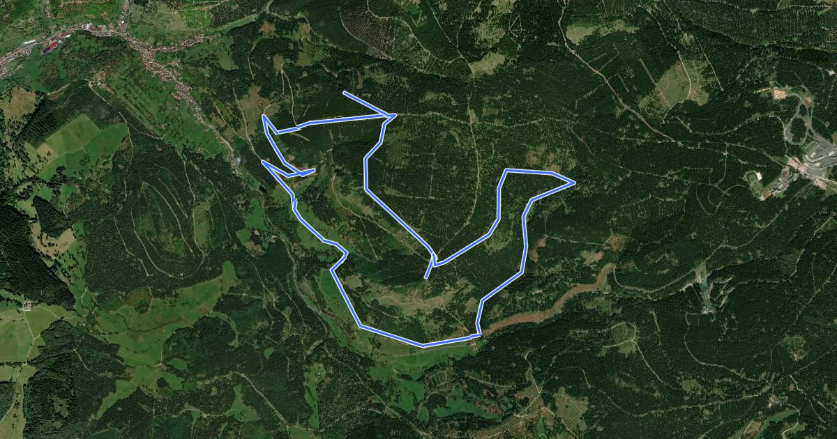 Маршрут Oberschönauer Felsenweg на спутниковом снимке
