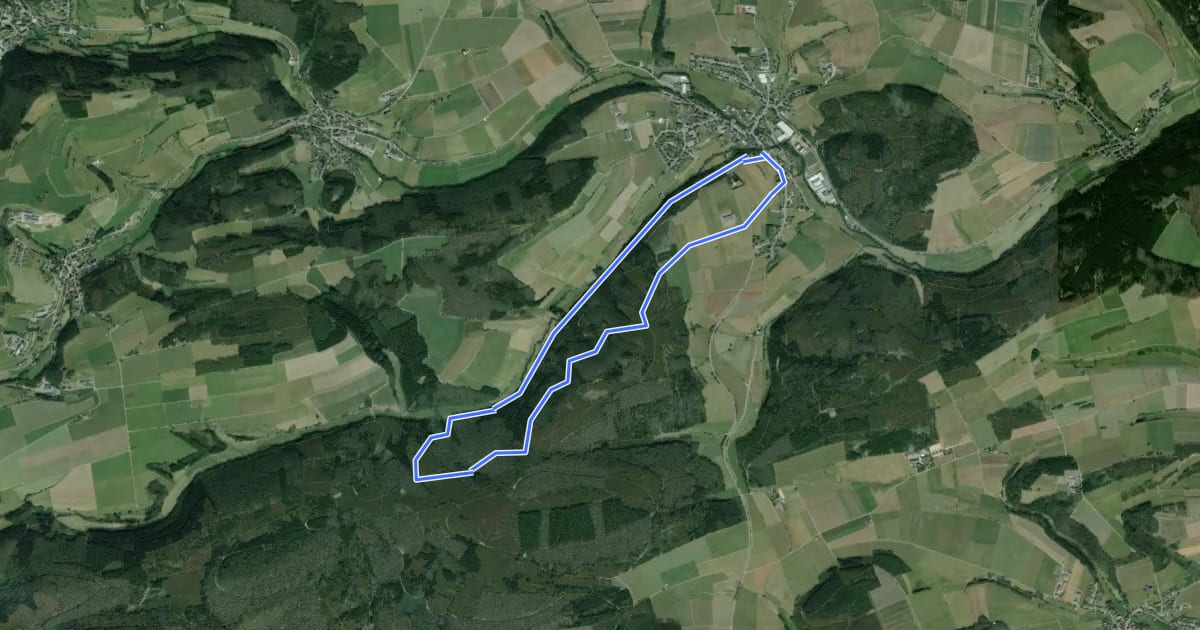 Маршрут Oberschledorn Rundweg O4 Hallebachtagweg на спутниковом снимке