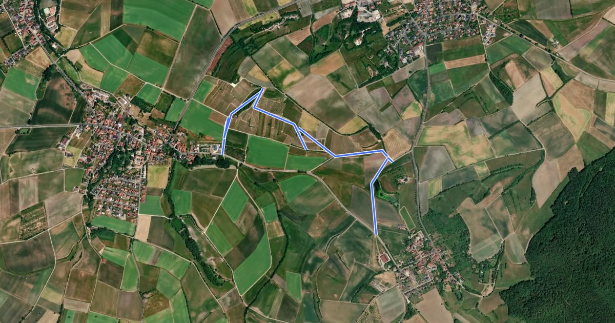 Маршрут Oberschwappacher Wein-Route на спутниковом снимке