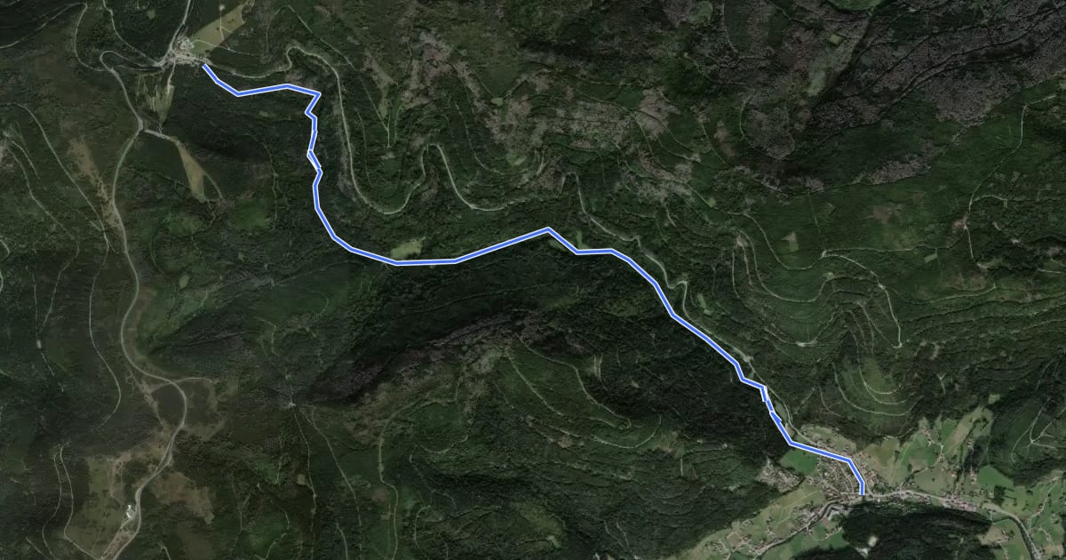 Маршрут Obertal - Ruhestein на спутниковом снимке