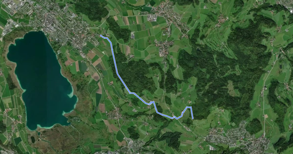 Маршрут Oberwil - Rosinli на спутниковом снимке