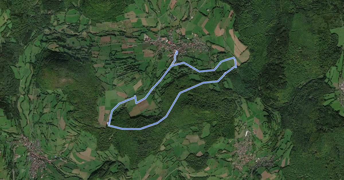 Маршрут Oberzell - Rundwanderweg Haag на спутниковом снимке