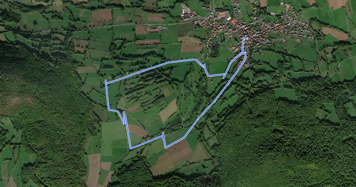 Маршрут Oberzell - Rundwanderweg Hirschberg на спутниковом снимке