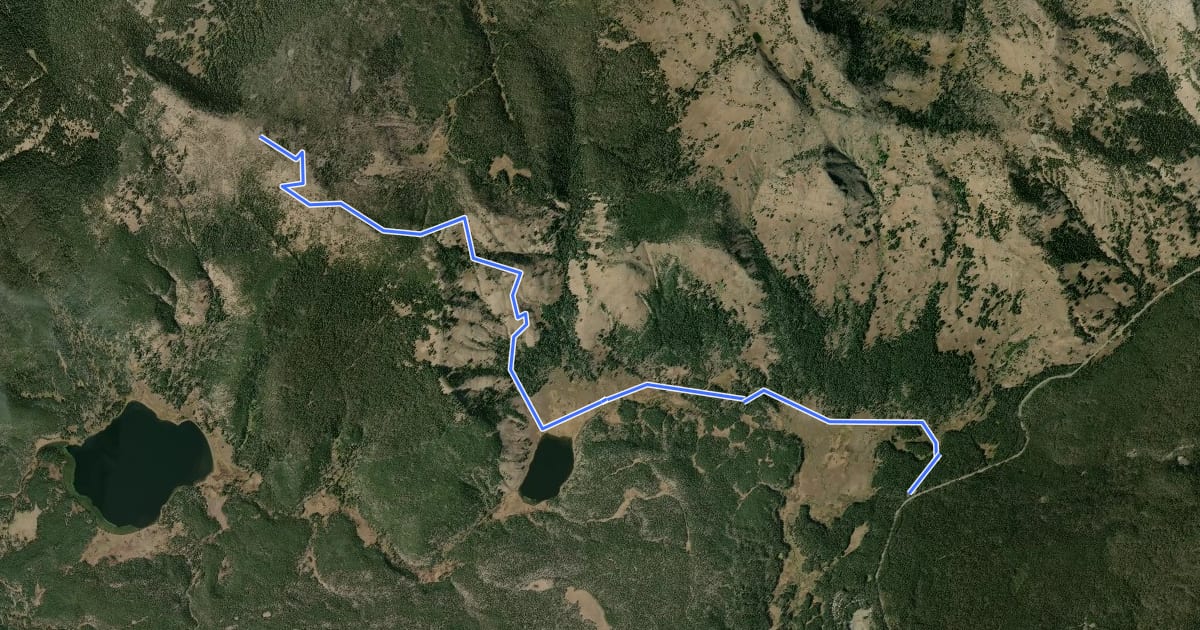 Маршрут Observation Peak Trail на спутниковом снимке