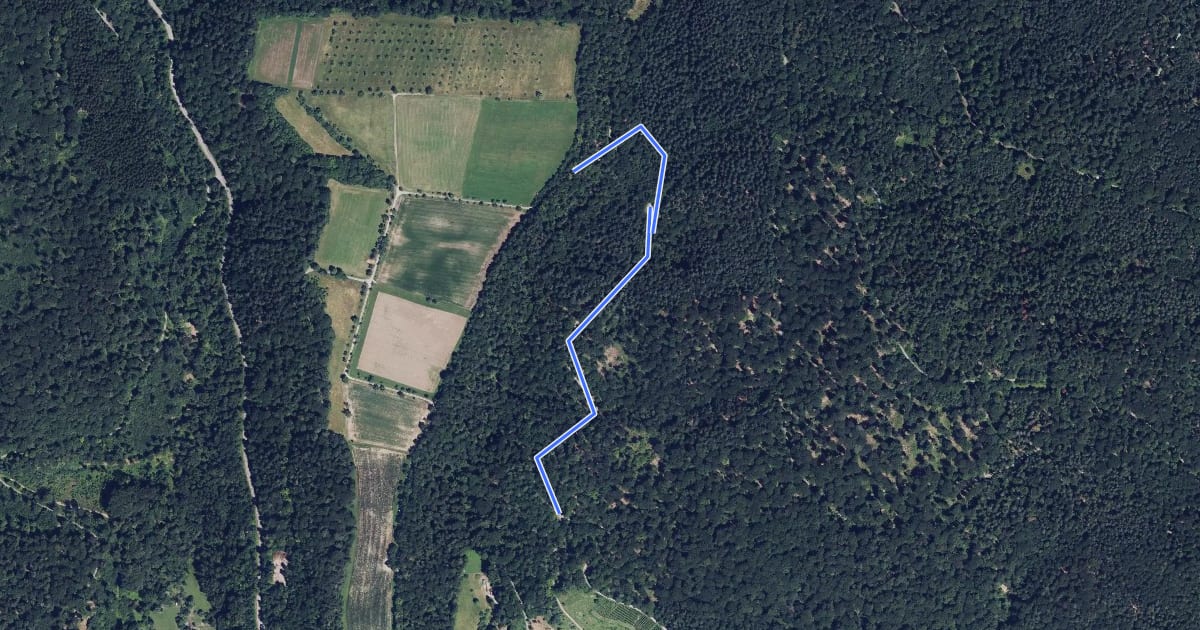 Маршрут Ochsenbach Rundwanderweg 5 на спутниковом снимке
