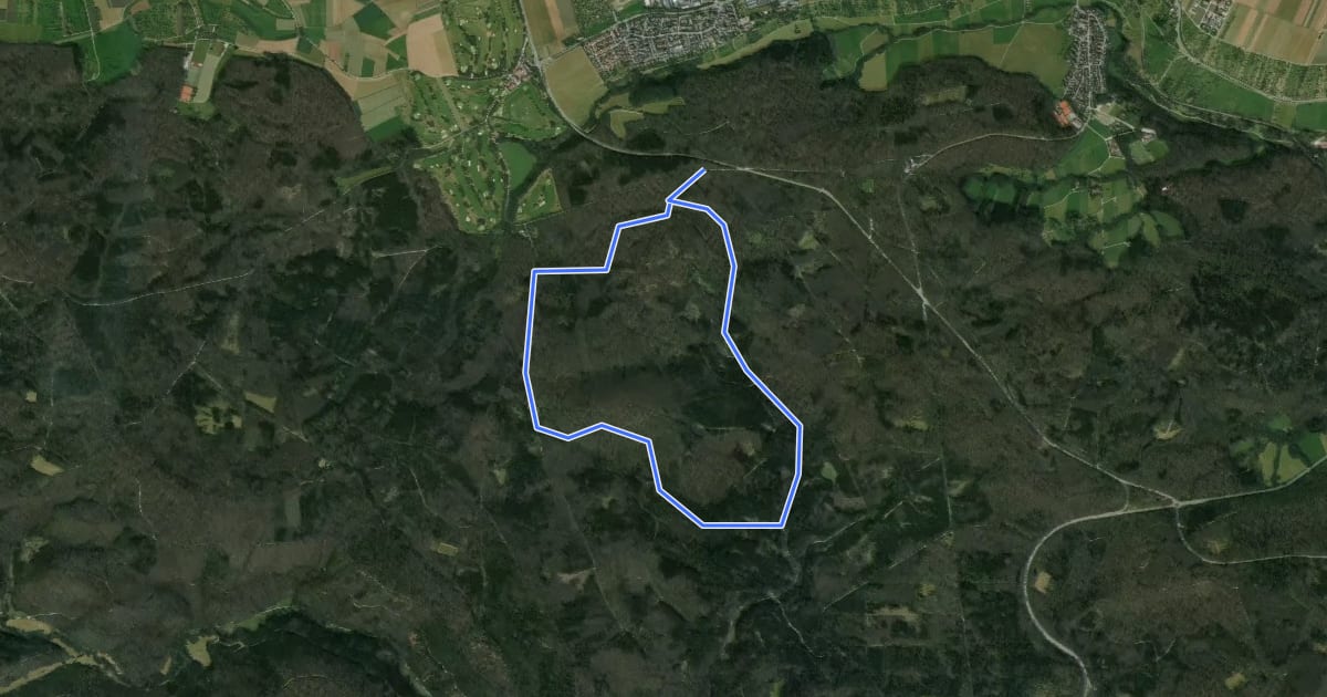 Маршрут Ochsenweiher Rundweg на спутниковом снимке