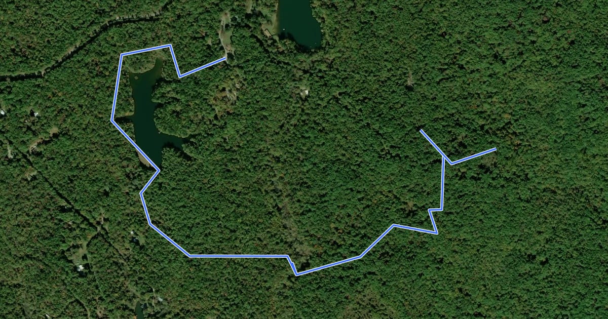 Маршрут Oconee Trail на спутниковом снимке