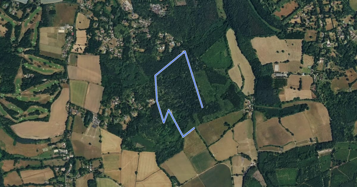 Маршрут Octavia Hill Walk around Hydon's Ball and Heath, Hindhead на спутниковом снимке