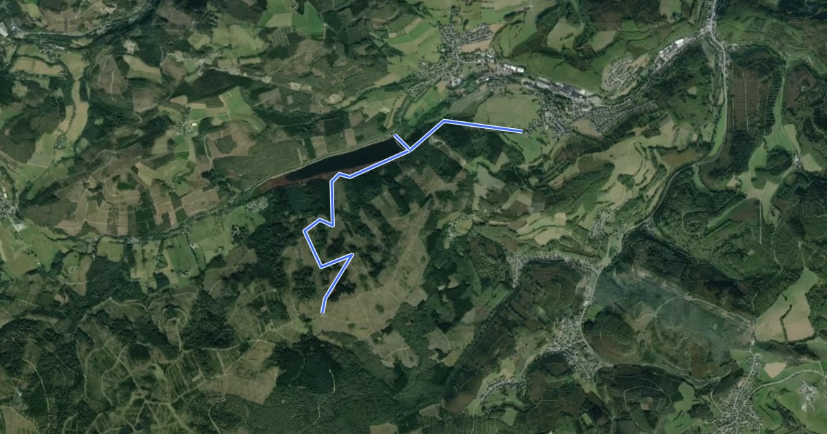 Маршрут Oestertalsperre Rundweg A1 на спутниковом снимке