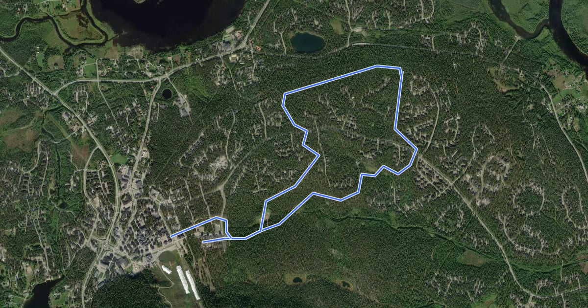 Маршрут Official Levi Nordic Walking track 9 на спутниковом снимке
