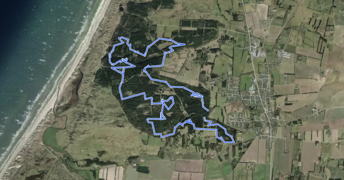 Маршрут Officiel Mountainbike-rute i Tornby Klitplantage на спутниковом снимке